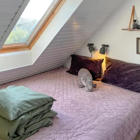 Beautiful In With Wifi Tranekaer